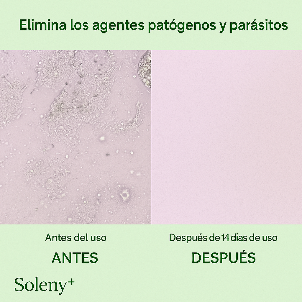 OregaPlus™ Potencia tu energía, salud y bienestar